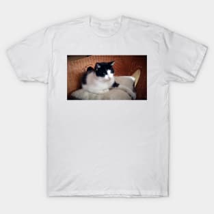 Cat Kitti on the armchair T-Shirt